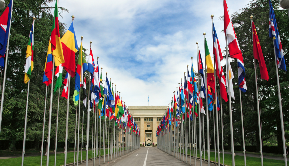 United Nations flags